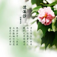 微信花头像图片大全