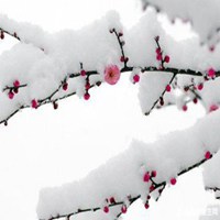 忧郁伤感的雪花人物微信头像