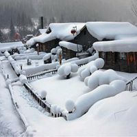 忧郁伤感的雪花人物微信头像