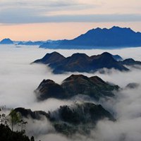 找一个有鸟有花高山流水的头像