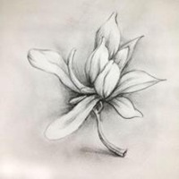 素描捧花