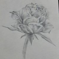 素描捧花