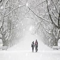 雪花头像图片