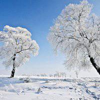 微信头像雪花景