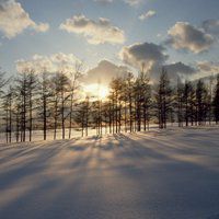 微信头像雪花景