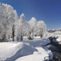 微信头像雪花景