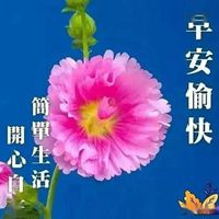 微信早上好鲜花图片