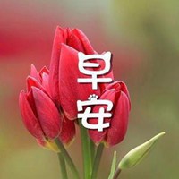 微信早上好鲜花图片