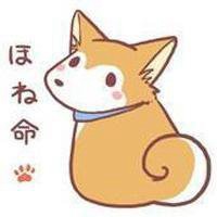 超萌的微信猫咪头像