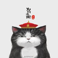 高冷猫头像