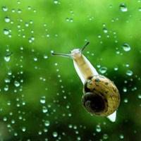 图片头像唯美风景雨季