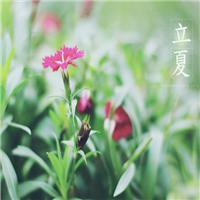 2017最新微信花草风景图片大全