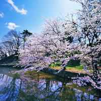 2017微信花草风景头像大全