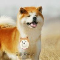 柴犬微信头像