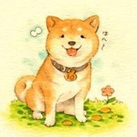 柴犬微信头像