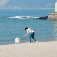 面对大海的背影图片