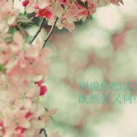 微信头像花朵花瓣图片大全