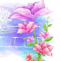 微信头像花朵花瓣图片大全