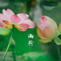 微信头像花朵图片大全荷花