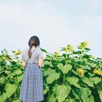 微信头像花树图片大全