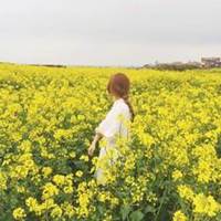 微信头像花树图片大全