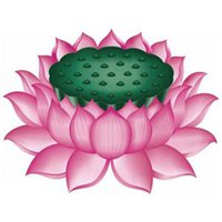 微信头像花草图