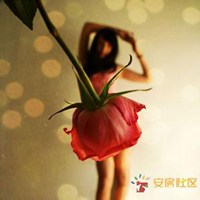 微信头像花草图