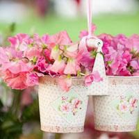 微信头像花草图片大全