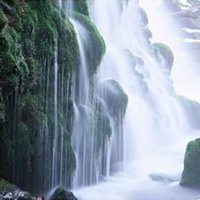 微信头像花草山水之类