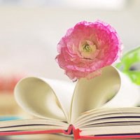 关于花草树木的微信头像图