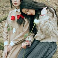 清晰玫瑰花微信头像
