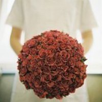 清晰玫瑰花微信头像