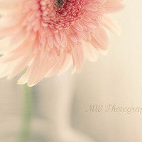 温馨花朵微信头像