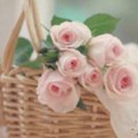 温馨花朵微信头像