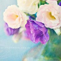 漂亮的花微信头像图片大全