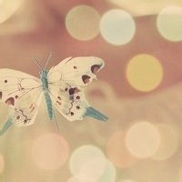 漂亮的花微信头像图片大全