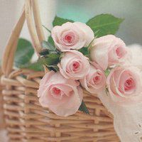 漂亮的花微信头像图片大全