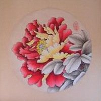 牡丹花微信头像
