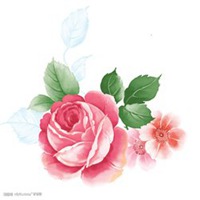 玫瑰花微信头像图片