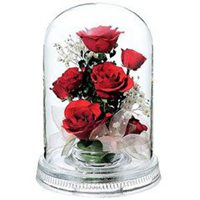 瓶中花简约生活微信图片