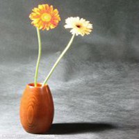 瓶中花简约生活微信图片