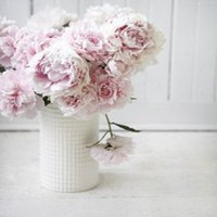 瓶中花简约生活微信图片