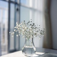 瓶中花简约生活微信图片