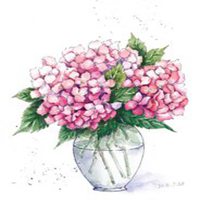 瓶中花简约生活微信图片