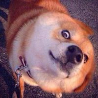 红包中介头像