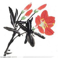 红色好看的百合花微信头像