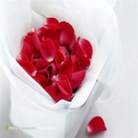 红色花朵微信头像下载榜