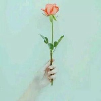 花头像图片大全高清
