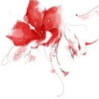 花的微信头像图片高清
