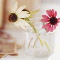 花草微信头像